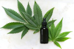 green cannabis leaves and black glass drops bottle Doctor Dutch Canada