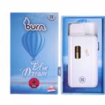 Burn Vape 2mL