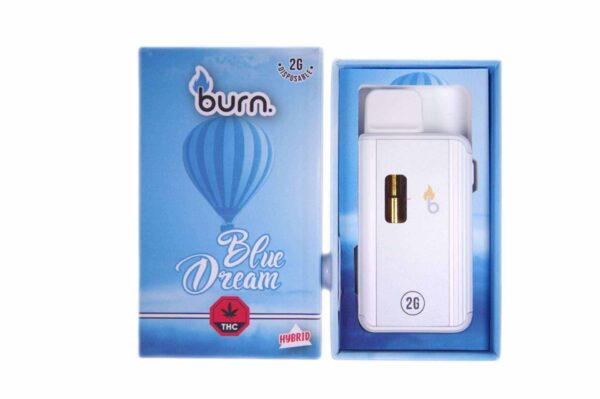Burn Vape 2mL