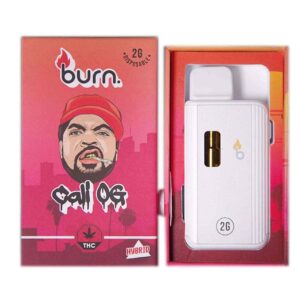 Burn Vape 2mL