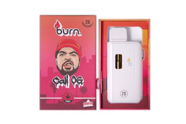 Burn Vape 2mL