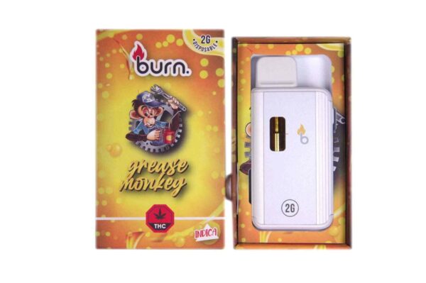 Burn Vape 2mL