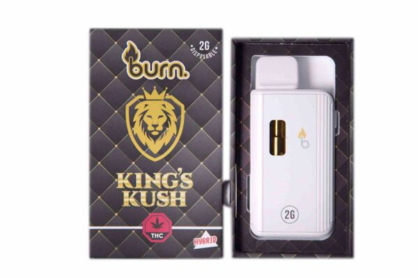 Burn Vape 2mL