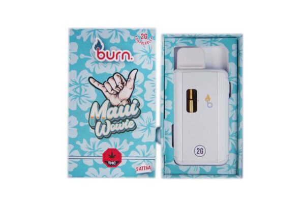 Burn Vape 2mL