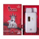 Burn Vape 2mL