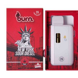 Burn Vape 2mL