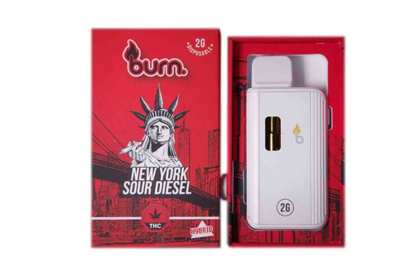 Burn Vape 2mL