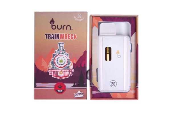 Burn Vape 2mL