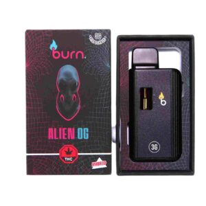 Burn Vape 3mL