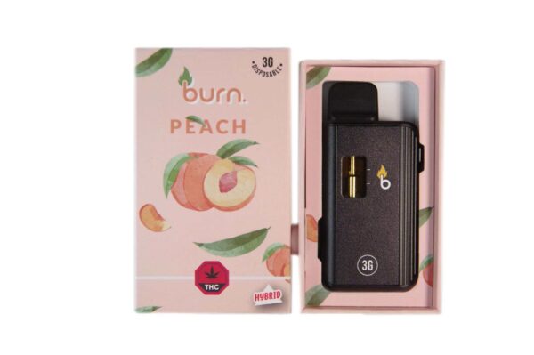 Burn Vape 3mL