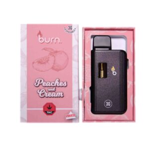 Burn Vape 3mL