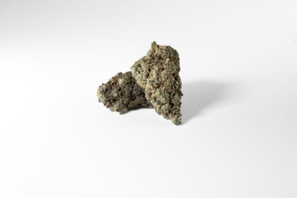 Gelato