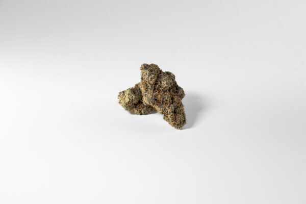 Orange Cookies