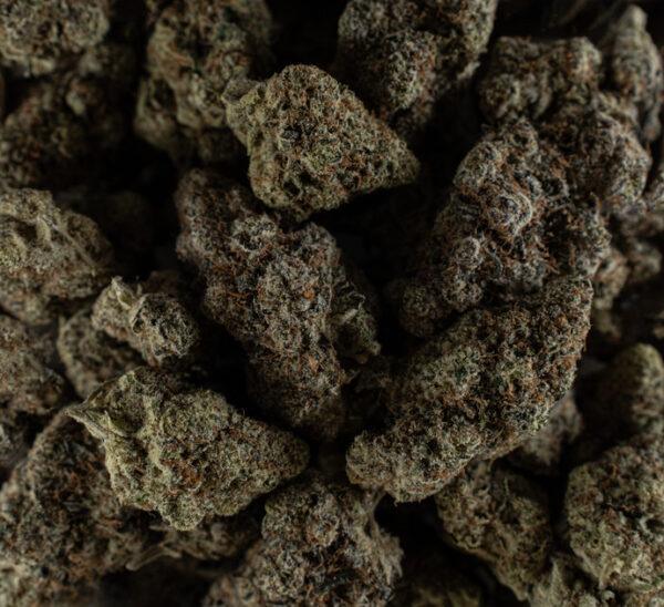 Orange Cookies - Image 2